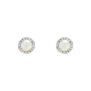 9ct Gold Rhodium Plated Opal Earrings GE2487W