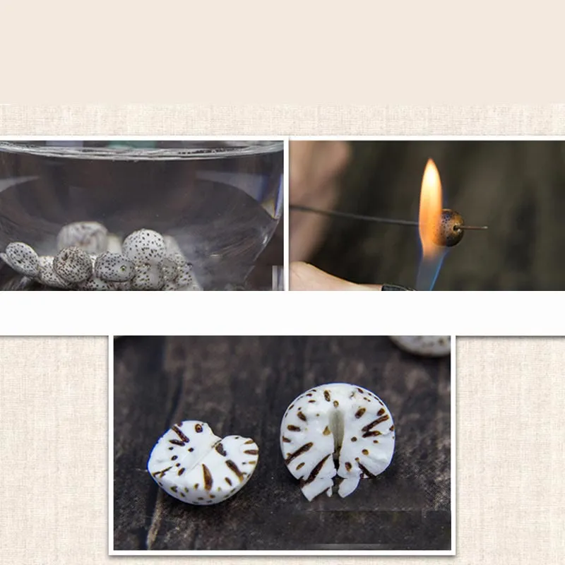 Buddha Stones 108 Mala Beads Bodhi Seed Yak Bone Avalokitesvara Lucky Pixiu Guan Gong Buddha Demon Peace Tassel Bracelet