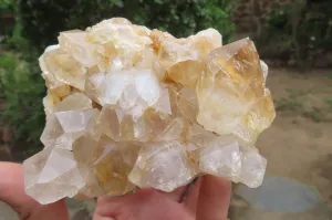 Natural Clear Limonite Quartz Clusters x 6 From Zambia
