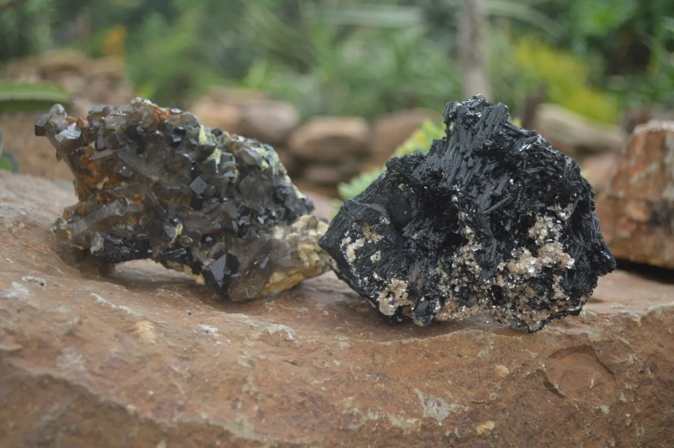 Natural Schorl Black Tourmaline & Smokey Quartz Specimens x 2 From Erongo Mountains, Namibia