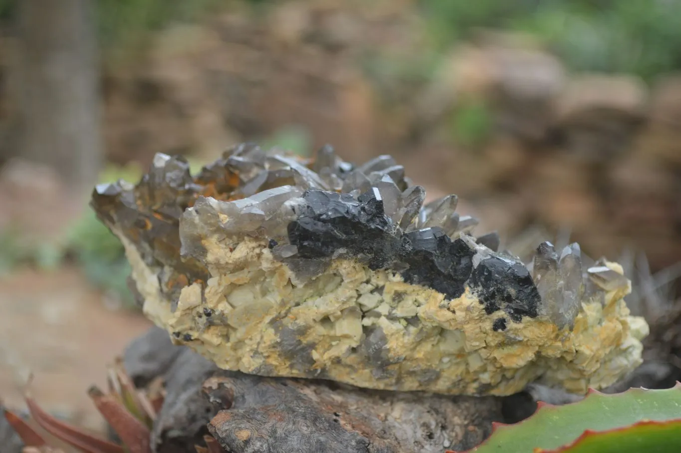 Natural Schorl Black Tourmaline & Smokey Quartz Specimens x 2 From Erongo Mountains, Namibia
