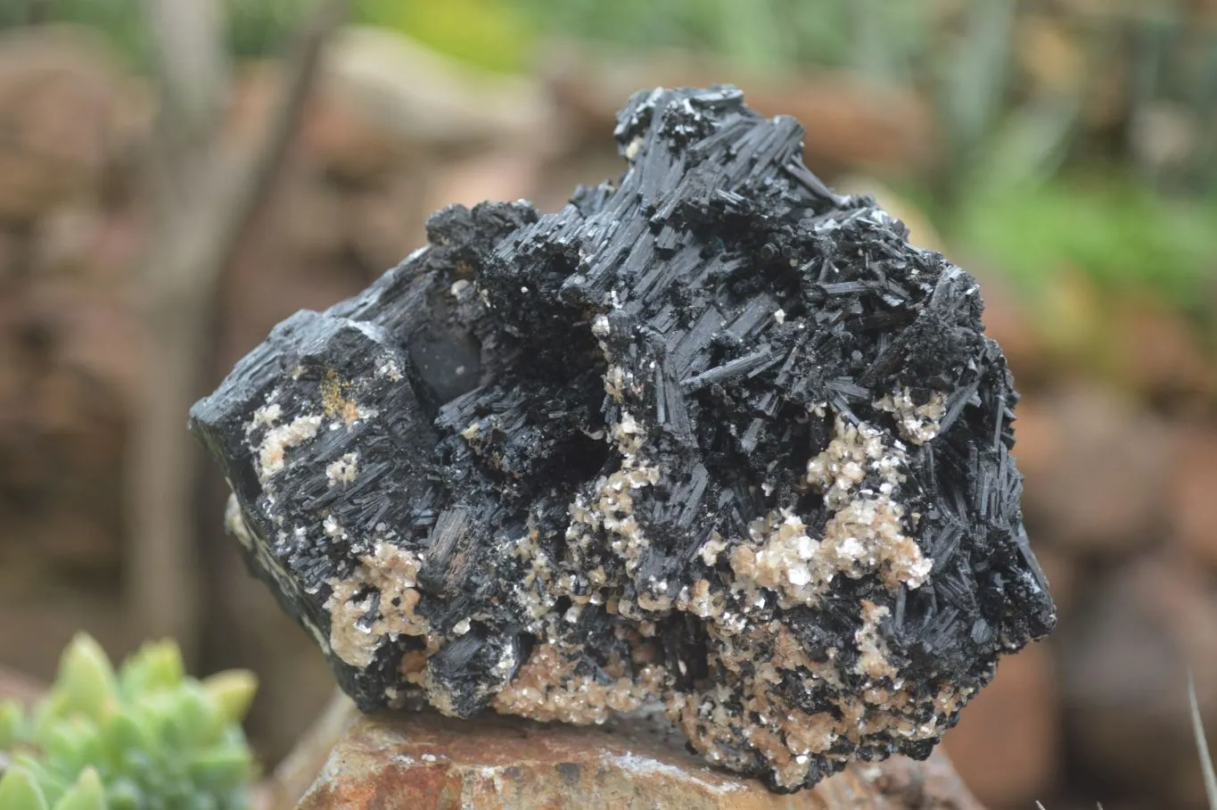 Natural Schorl Black Tourmaline & Smokey Quartz Specimens x 2 From Erongo Mountains, Namibia