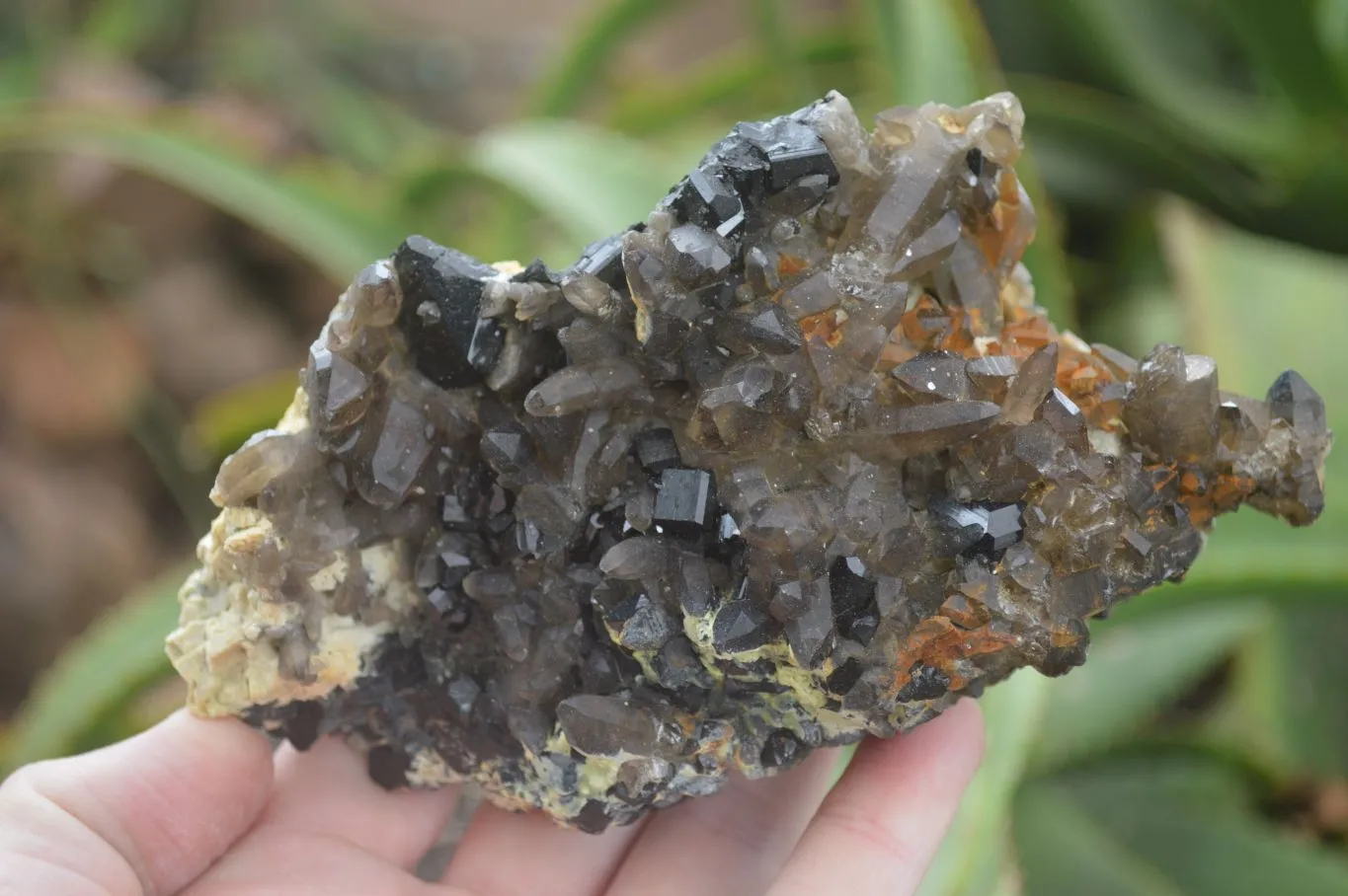 Natural Schorl Black Tourmaline & Smokey Quartz Specimens x 2 From Erongo Mountains, Namibia