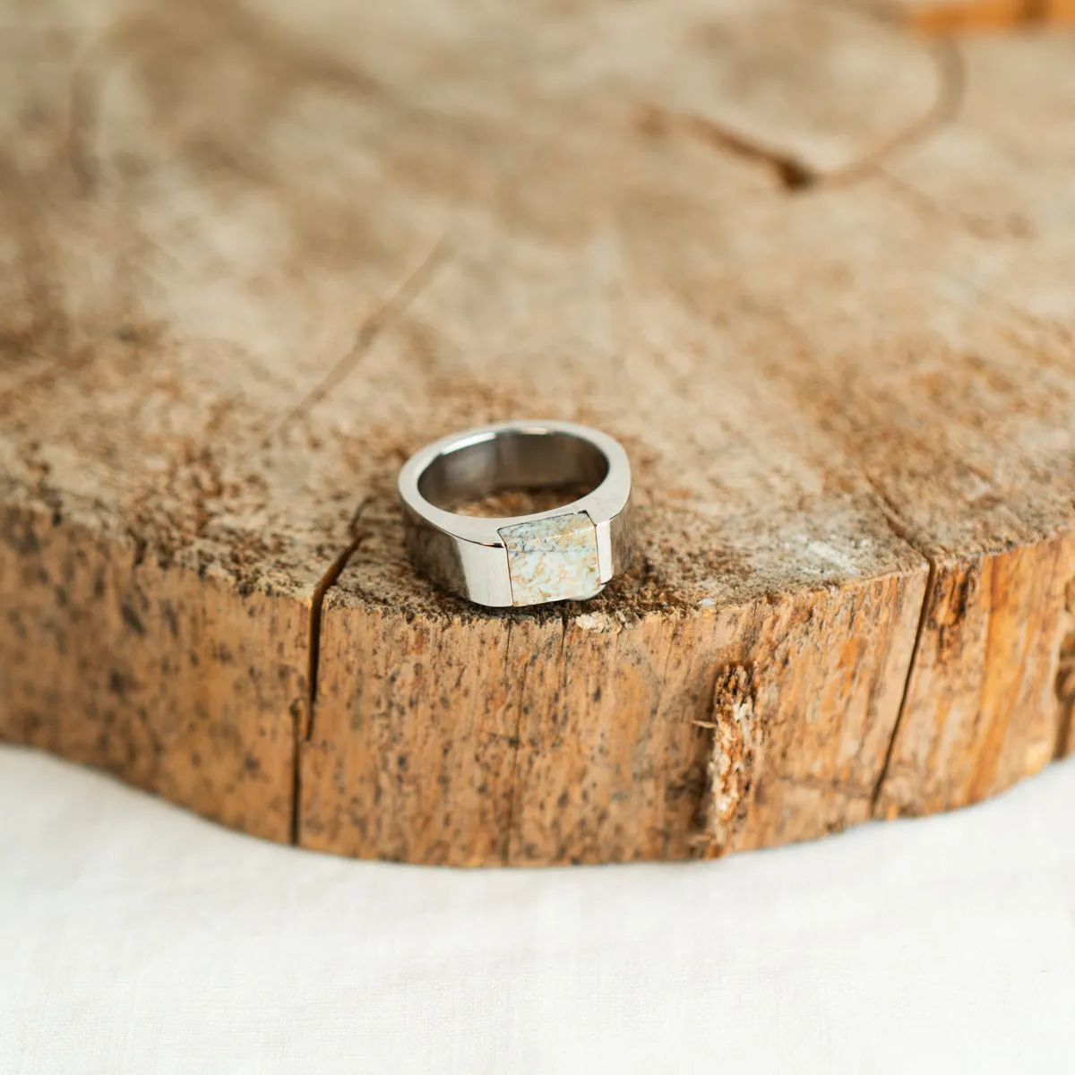 Silver Stainless Steel Signpost Signet Ring - Cream Fossilized Dinosaur Bone Size 10