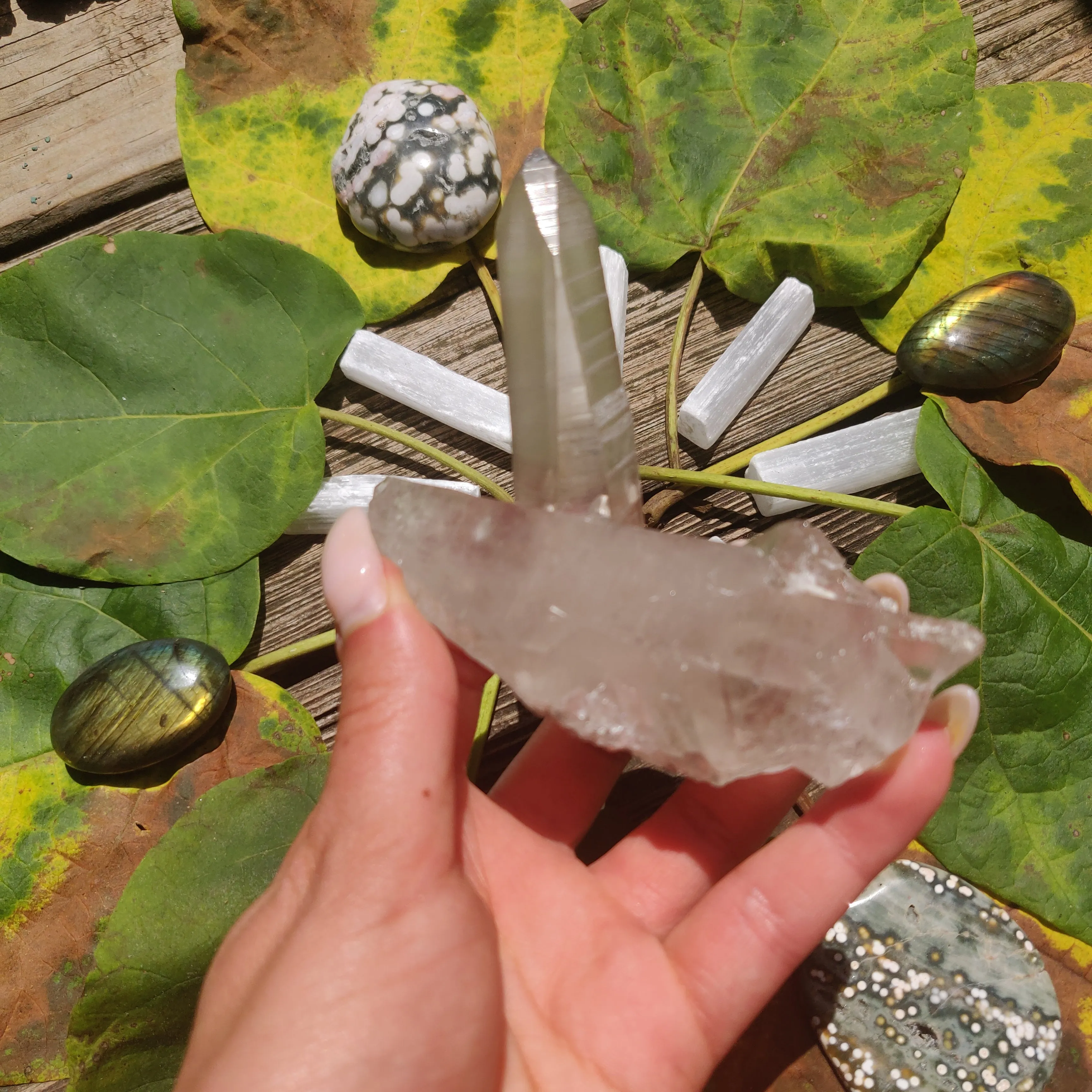 Smoky Lemurian Quartz Point (#8)