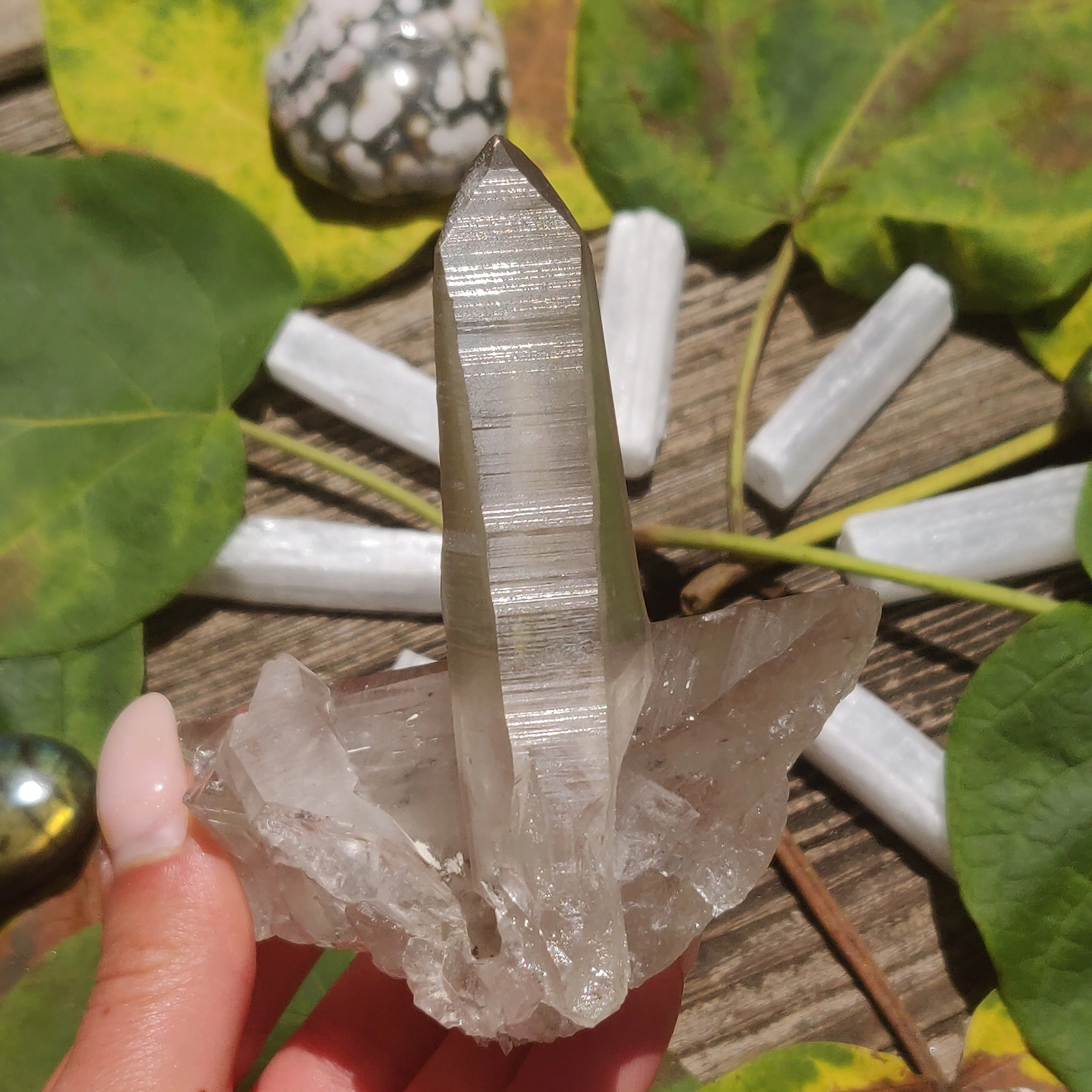 Smoky Lemurian Quartz Point (#8)