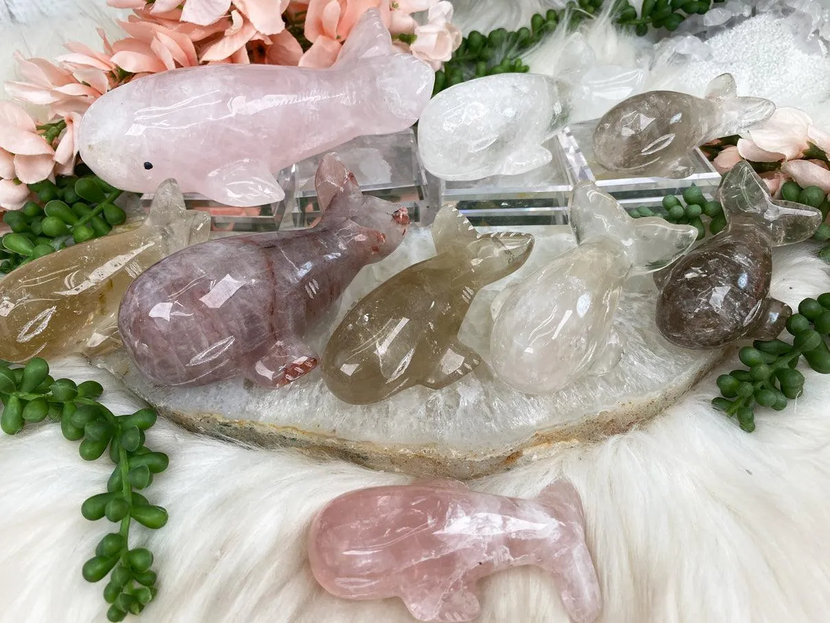 Whale Crystals