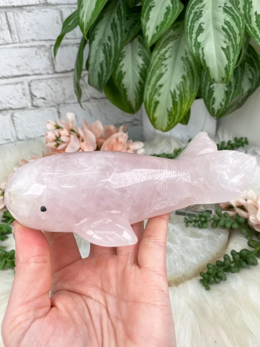 Whale Crystals