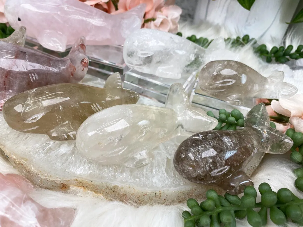 Whale Crystals