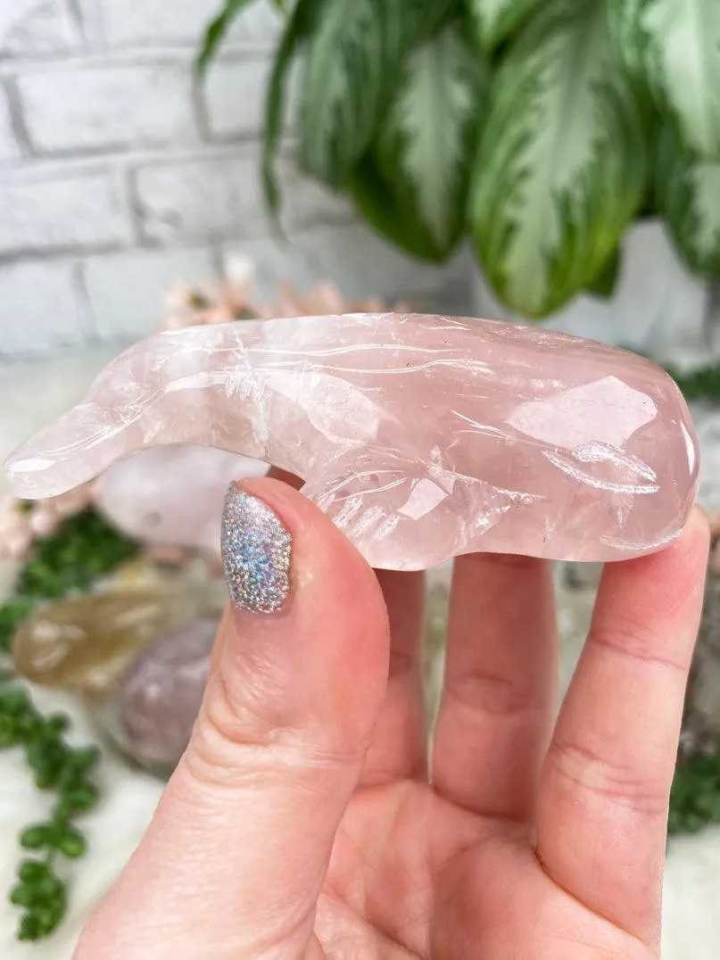 Whale Crystals