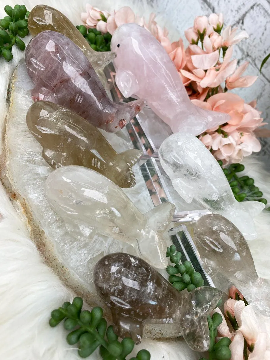 Whale Crystals