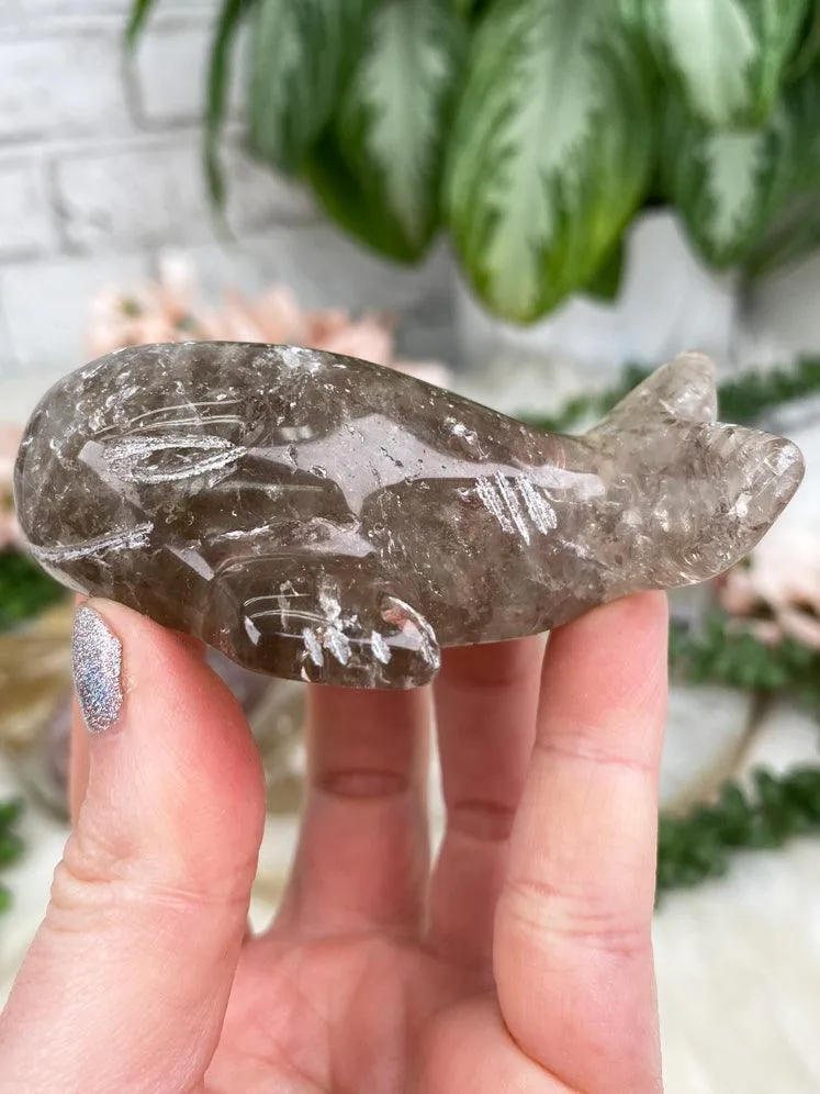 Whale Crystals