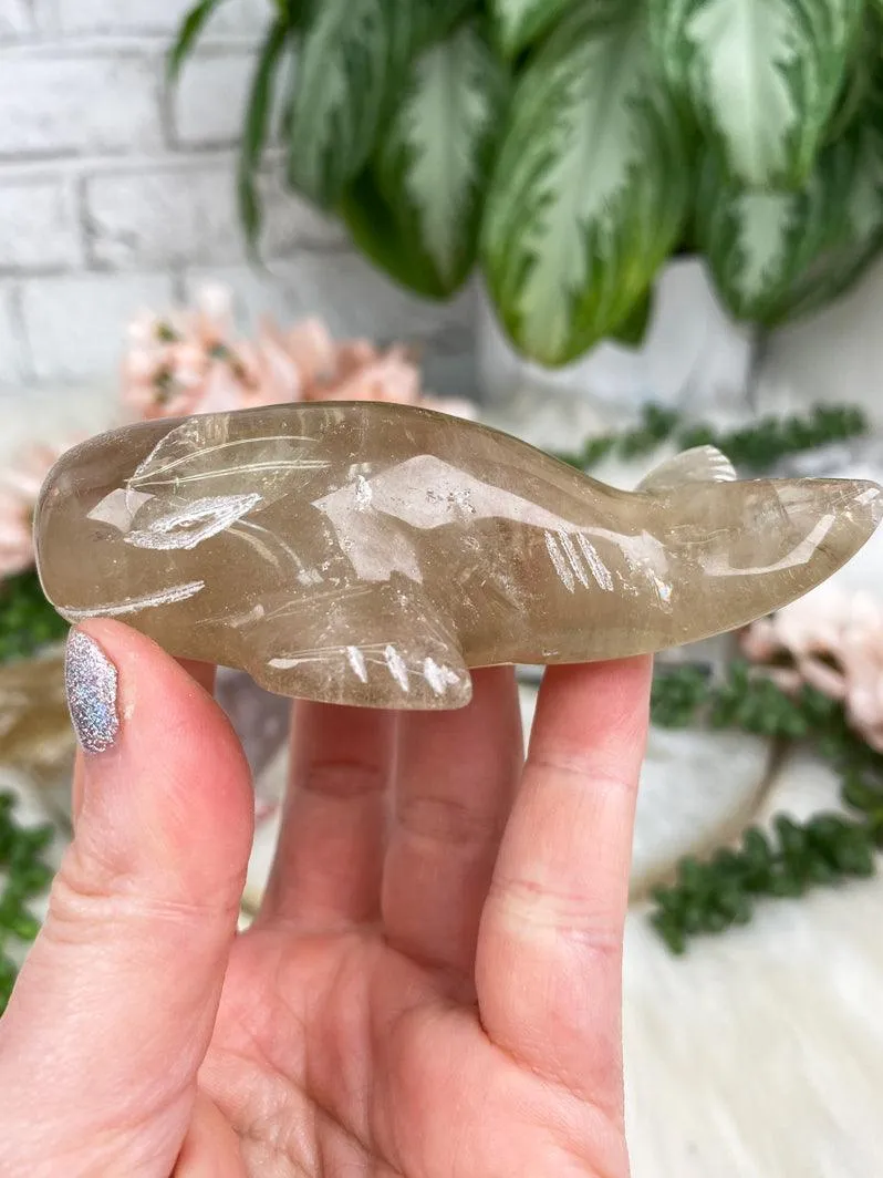 Whale Crystals