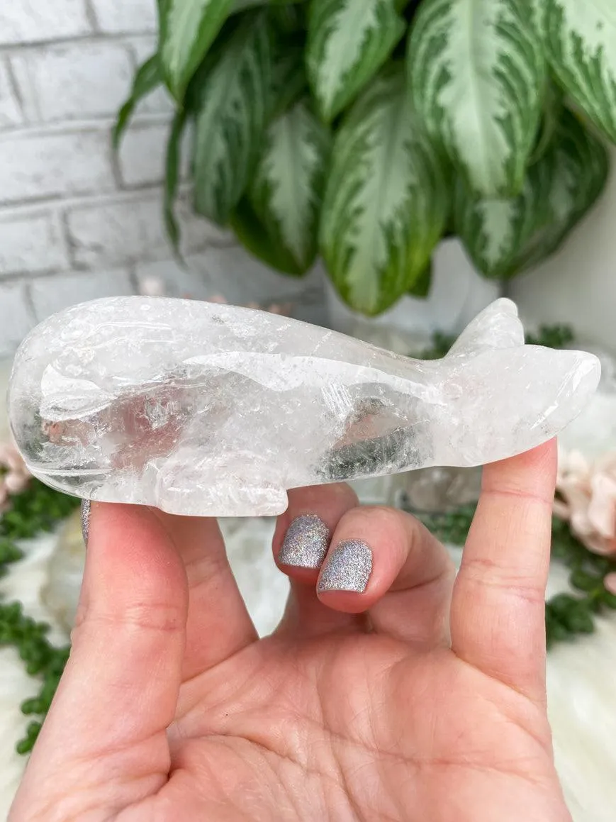 Whale Crystals