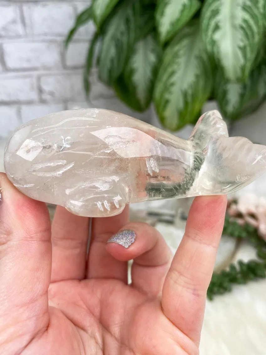 Whale Crystals